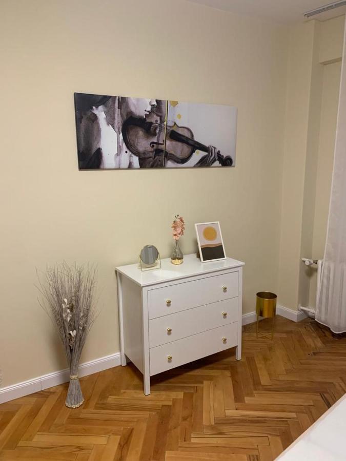 New Oldtown Apartment Near St Martin Cathedral, Ac, Balcony Bratislava Eksteriør billede